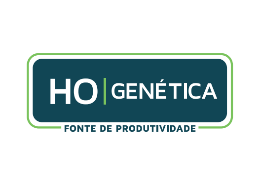 Semente Soja 74HO112TP IPRO (PARANAIBA)  - 0